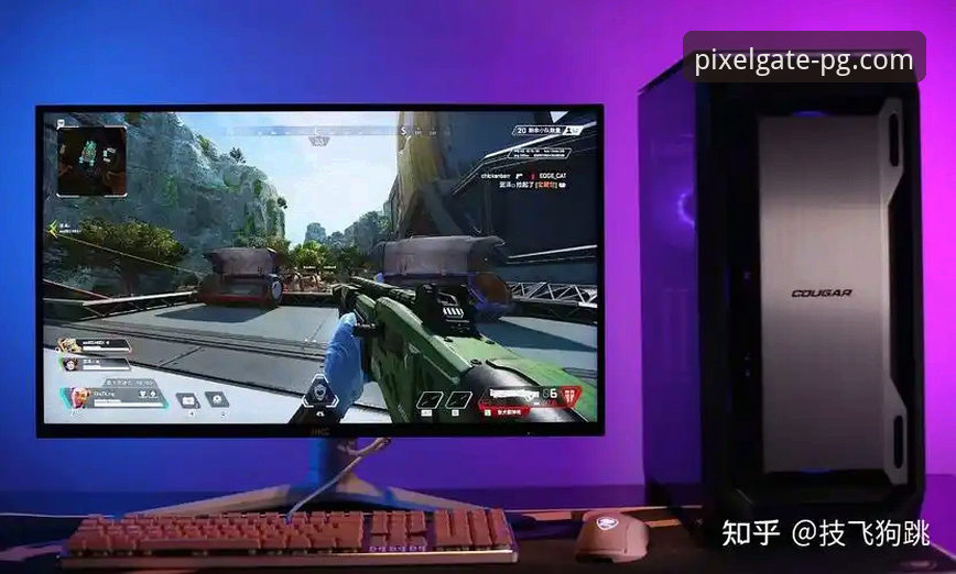 PG平台客户端下载 vs 网页版：哪个更适合你？实战对比分析