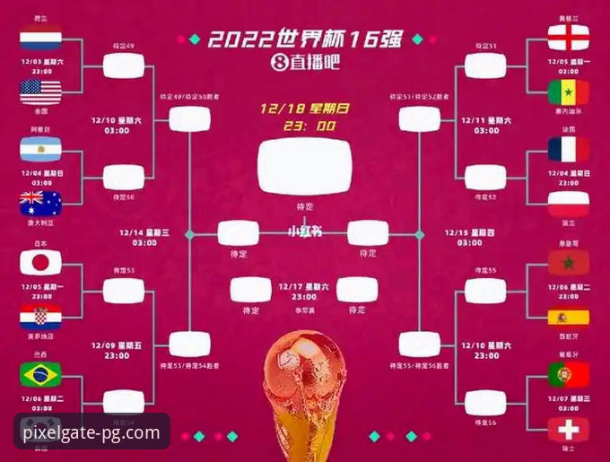 PG平台尤伯杯半决赛观赛体验评测：中国队3-0完胜日本队晋级决赛操作教程